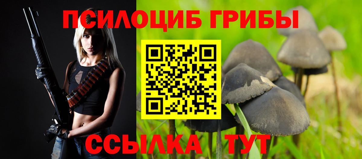 Воркута  Псилоцибиновые грибы мицелий  Вход с VPN  Галлюциногенные грибы мицелий 